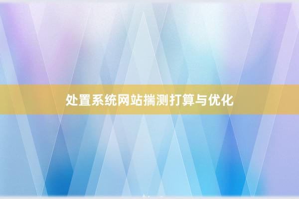 处置系统网站揣测打算与优化
